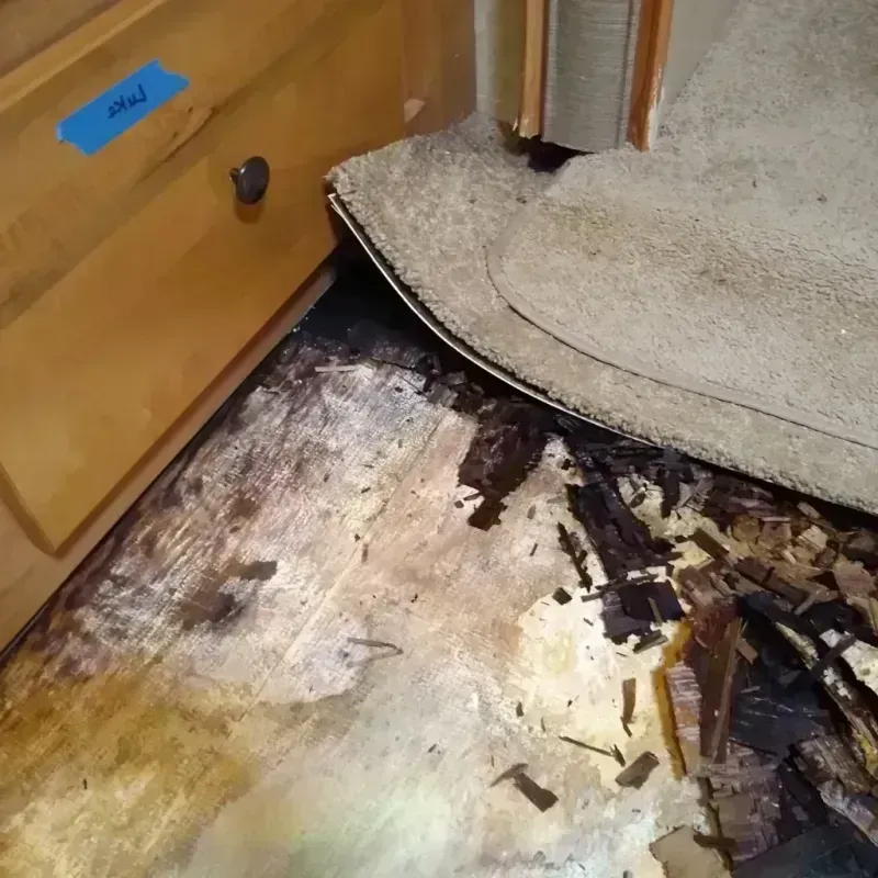 Best Wood Floor Water Damage Service in Wahneta, FL